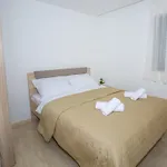 Apartment Luxury 4*